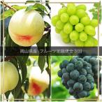 フルーツ定期便全3回