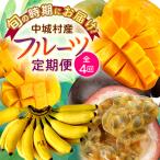 JAおきなわ厳選 季節の南国フルーツ全4回