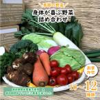 身体が喜ぶ野菜 季節の詰め合わせ おまかせ10~12品