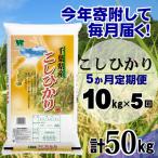 コシヒカリ 精米 10kg