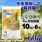 コシヒカリ 精米 10kg