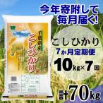 コシヒカリ 精米 10kg