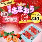 博多あまおうG 270g×2パック