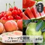 ふるさと納税 尾花沢市 【発送月固定定期便】山形 フルーツ定期便  さくらんぼ スイカ 白桃 ラフランス全4回