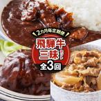 飛騨牛三昧 ハンバーグ カレー 牛丼の冷凍食品3種セット