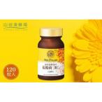花粉荷 11405 全12回