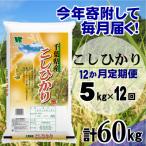 コシヒカリ 精米 5kg