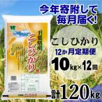コシヒカリ 精米 10kg