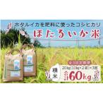 ほたるいか米 精米 20kg