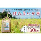 ほたるいか米 無洗米 10kg全3回