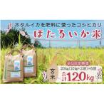 ほたるいか米 玄米 20kg