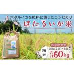 ほたるいか米 精米 10kg全6回