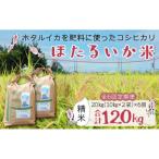 ほたるいか米 精米 20kg