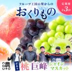 ショッピングふるさと納税 シャインマスカット ふるさと納税 笛吹市 【発送月固定定期便】訳あり山梨 人気の果物 桃・巨峰・シャインマスカット全3回
