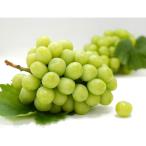 fu.... налог . звук храм город [ отправка месяц фиксация установленный срок рейс ]. звук храм город фрукты установленный срок рейс ( автомобиль in мускат +... Gold киви ) все 2 раз 