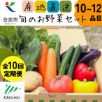 の旬のお野菜セット10~12品目全10回