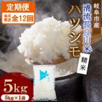 ハツシモ 清流長良川米 精米 5kg