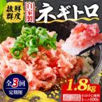 ネギトロ 月1回 1.8kg