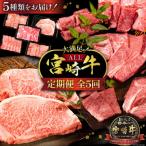 牛肉 定期便 5回 宮崎牛 バラエティCコース