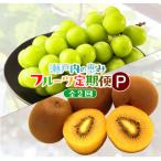 fu.... налог Takamatsu город [ отправка месяц фиксация установленный срок рейс ] Takamatsu город вызывающий чувство гордости фрукты [P] все 2 раз 