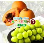 自慢のフルーツ 全2回
