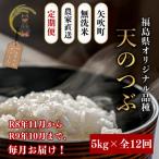 無洗米 天のつぶ5kg全12回