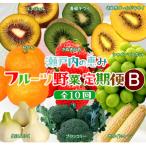 自慢のフルーツ 野菜 全10回