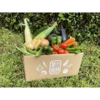 濃い味 朝採れ旬の野菜セット 12品目全6回