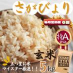 さがびより5kg 全6回