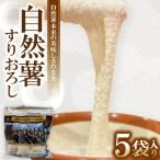 自然薯 すりおろし 冷凍 50g×5パック全6回