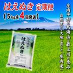 の米どころ庄内平野で育った庄内米 はえぬき5kg全4回