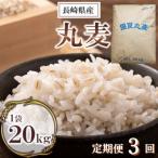丸麦 20kg×1袋全3回