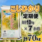 コシヒカリ 精米 10kg