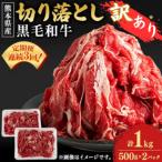<訳あり>黒毛和牛切り落とし計1kg 500g×2パック