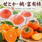 いちご 全3回 紀州和歌山産旬のフルーツ定期便
