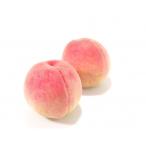 ふるさと納税 山梨市 【発送月固定定期便】山梨旬の味覚定期便【桃 約1kg/2色葡萄 1kg以上】全2回