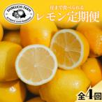 皮ごと食べられる 防腐剤 ワックス不使用