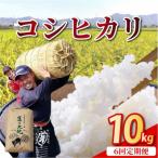 農家直送 京都丹波産 コシヒカリ 精米 10kg