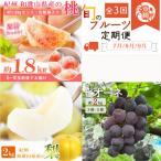 ふるさと納税 北山村 【発送月固定定期便】紀州和歌山産旬のフルーツ定期便 (桃・梨・ピオーネ) 【tkb424】全3回