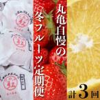丸亀自慢のフルーツ 全3回 定期便 フルーツ
