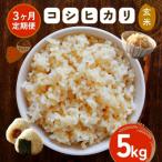 ふるさと納税 笠間市 【毎月定期便】【玄米】笠間産 コシヒカリ 5kg全3回