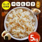 ふるさと納税 笠間市 【毎月定期便】【玄米】笠間産 コシヒカリ 5kg全6回