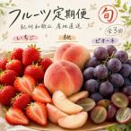 紀州和歌山産旬のフルーツセット いちご