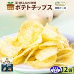 純 ポテトチップス 和風だし 12袋全2回