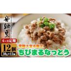 常陸大宮 舟納豆 ちびまる納豆 全6回