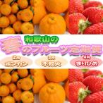 和歌山の春のフルーツ ポンカン 不知火 まりひめ