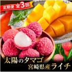 太陽のタマゴ ライチ定期便 M348-T011-3-1
