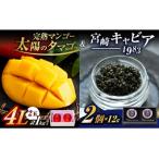 fu.... налог день юг город солнце. tamago(4L×2 шар ) &amp; Miyazaki черная икра 1983 (12g×2 шт )( день юг )[ несколько устно рассылка ]