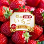 フルーツ定期便 Jコース さぬきひめ 全3回
