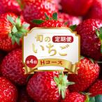 フルーツ定期便 Hコース さぬきひめ全4回